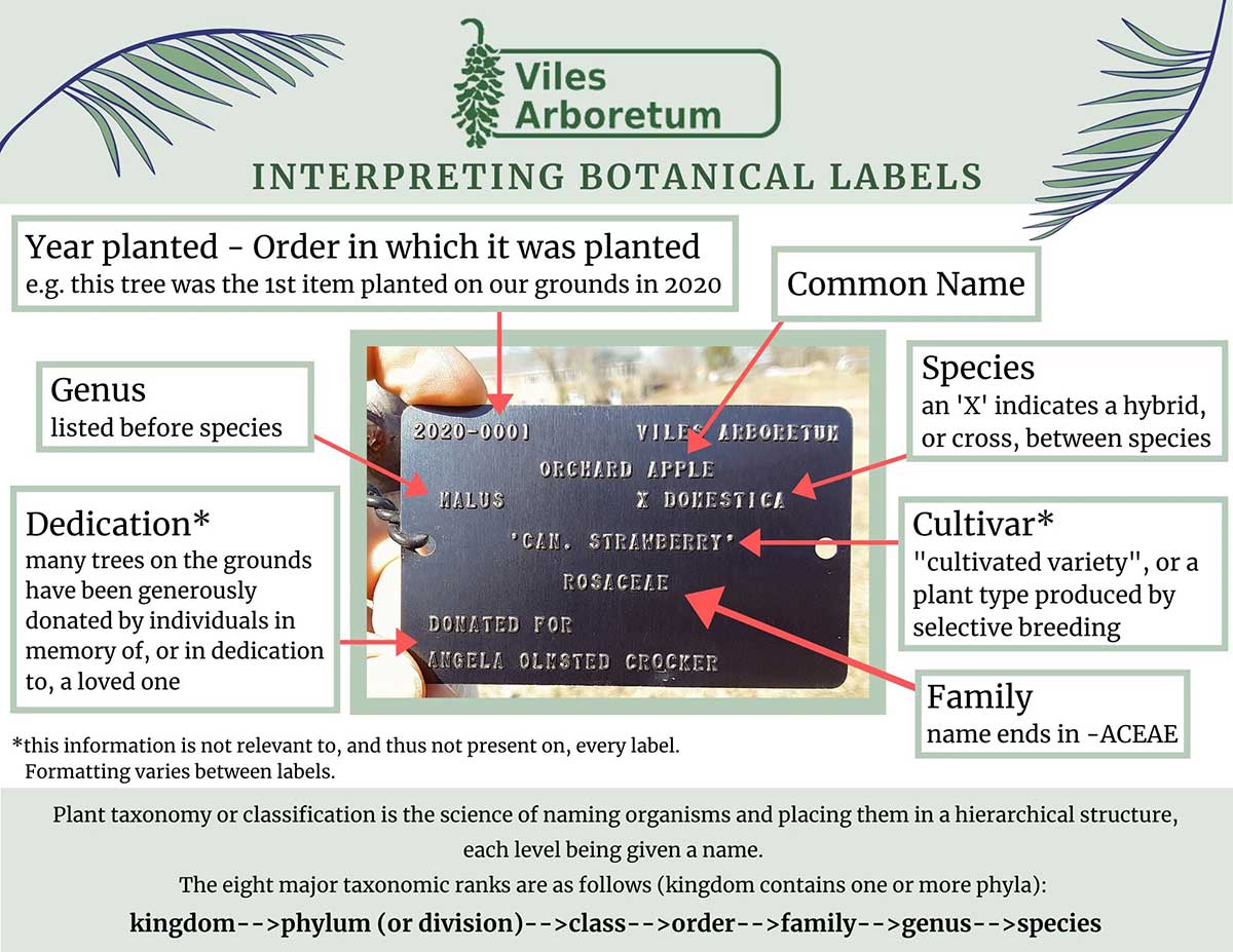 Interpreting Botanical Labels