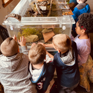 viles arboretum pond observation tank