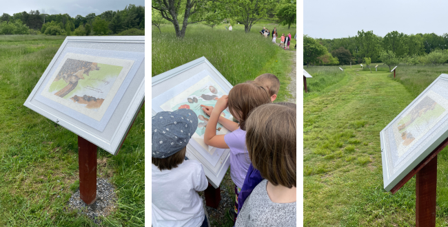 viles arboretum story walk blog